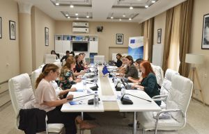 MEETING OF THE THEMATIC INQUIRY GROUP OF THE GENDER EQUALITY COUNCIL