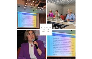 Рабочая встреча гендерной тематической группы - Женщины, мир и безопасность