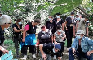 Information meetings in Zugdidi villages