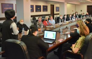 Round table in Zugdidi                                                                                                  