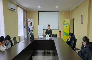 „თემის ძალის“ მუშაობის შედეგები