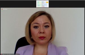 Gender Theme Group (GTG) - Women, Peace and Security (WPS) Task Force Meeting