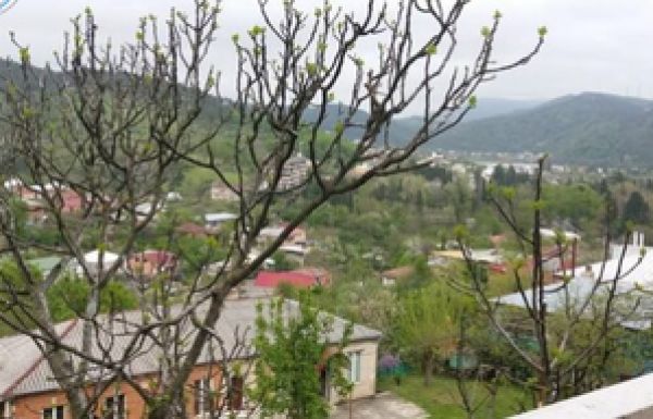 ქალები და ბავშვები მზისფერ სახლში