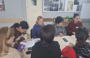 Senaki: Summarization of the Project