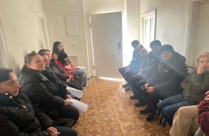 შეხვედრები მიგრაციის თემაზე